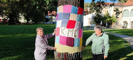 Rožnati oktober (9)